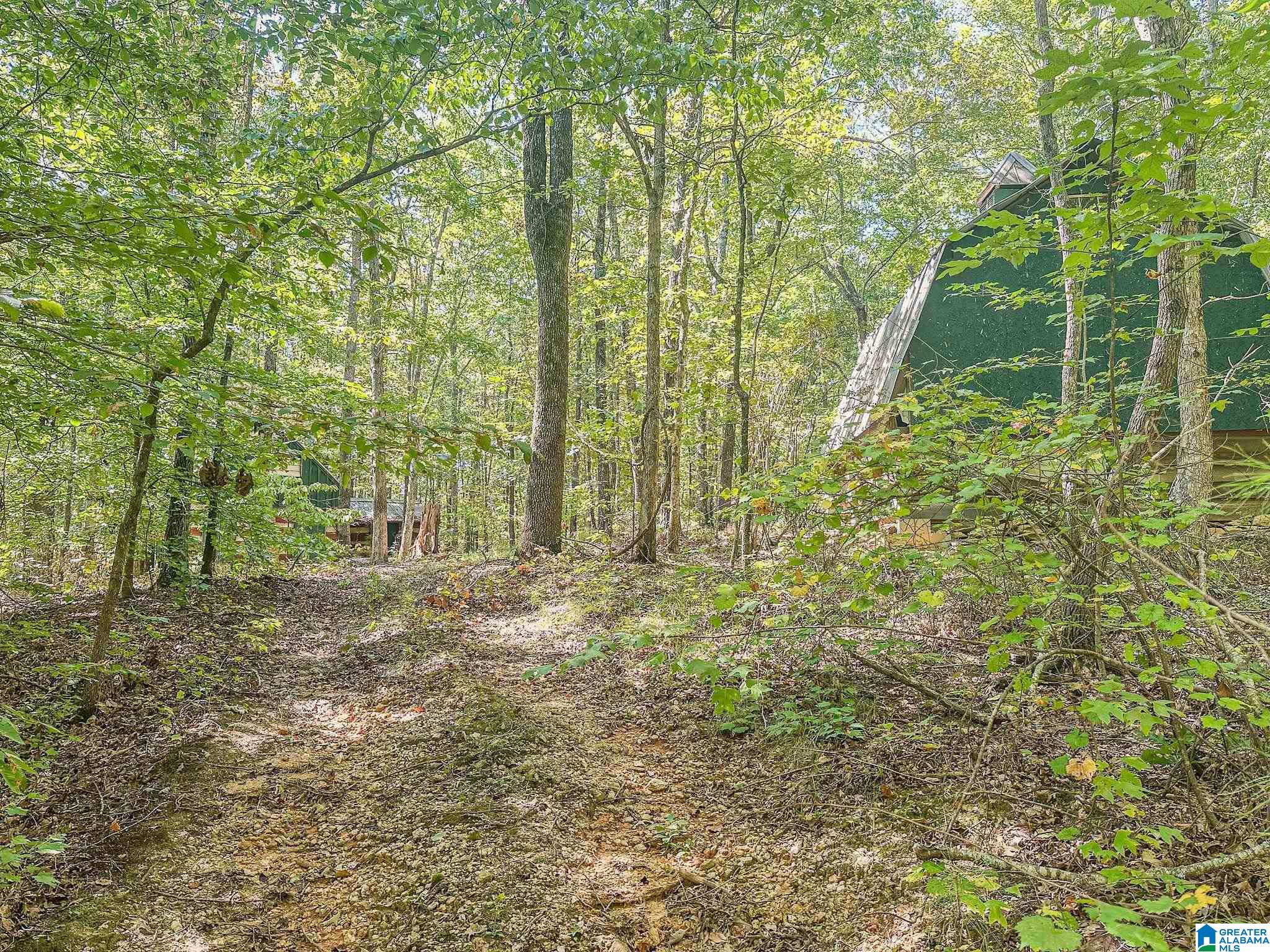 400 Fox Trot Road Talladega, AL 35160 - Photo 19 of 24