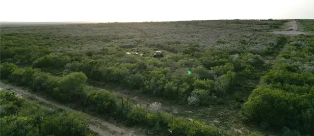a view of a lush green field