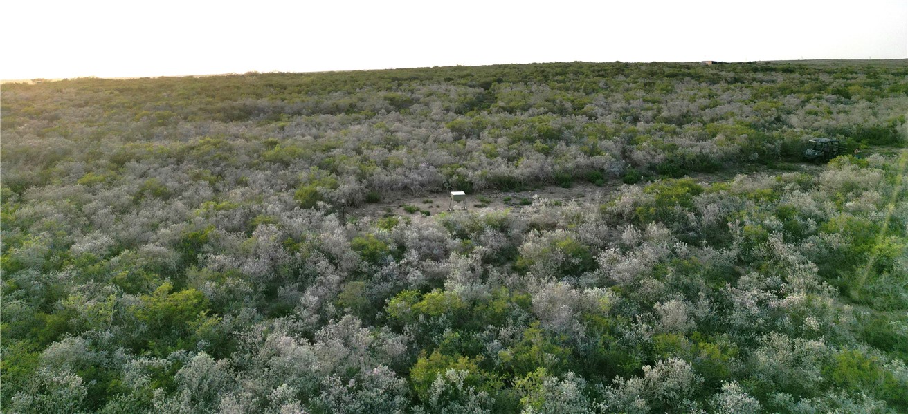 44 Ranch South Tr San Diego, TX 78384 - Photo 4 of 11 a view of a valley with a mountain in the background