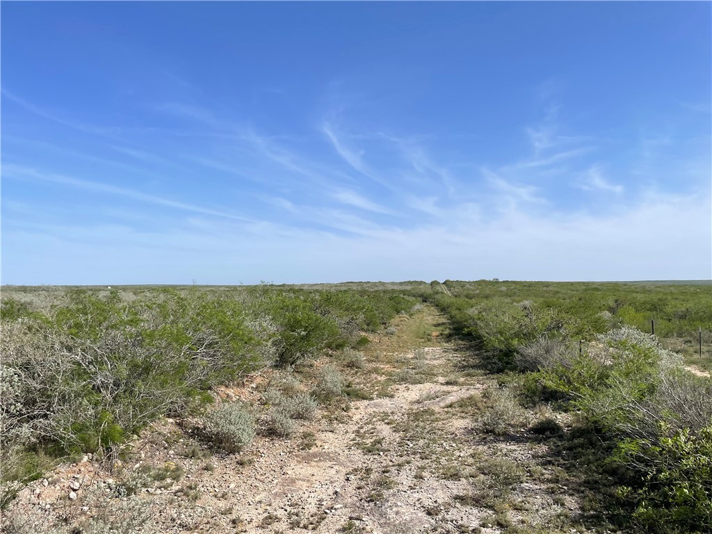 44 Ranch South Tr San Diego, TX 78384 - Photo 5 of 11 a view of an outdoor space with mountain view