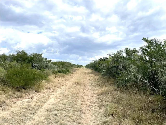 a view of a yard with an trees