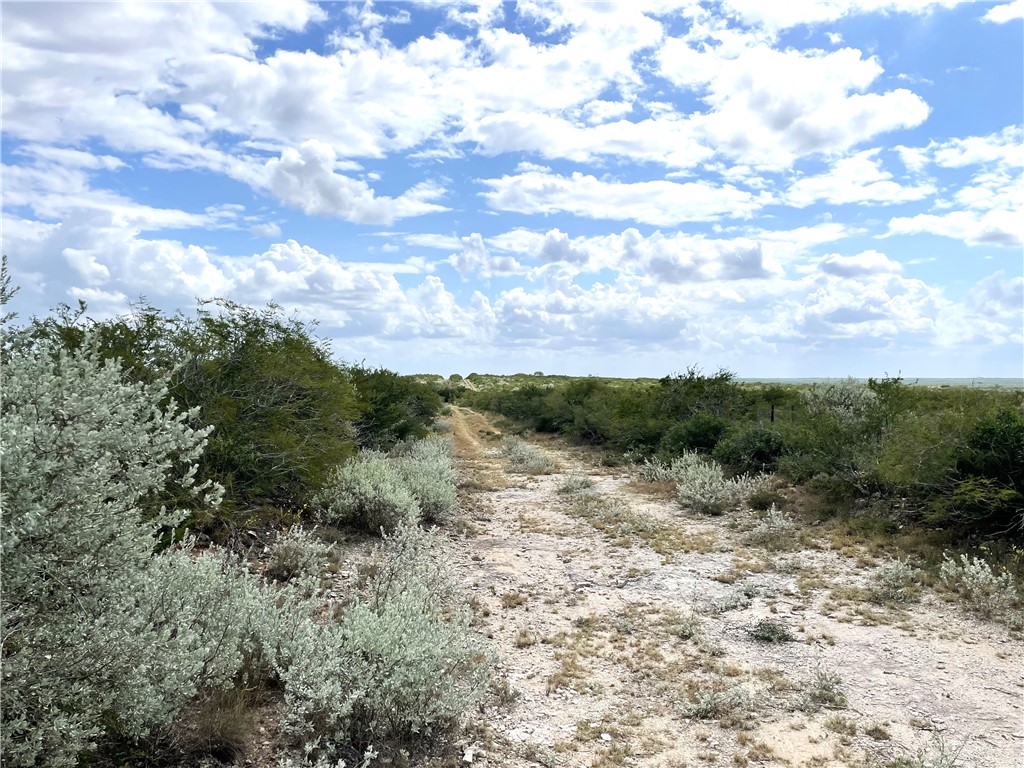 44 Ranch South Tr San Diego, TX 78384 - Photo 7 of 11 a view of a dry yard with lots of green space