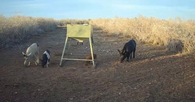 44 Ranch South Tr San Diego, TX 78384 - Photo 8 of 11 a view of outdoor space with seating area