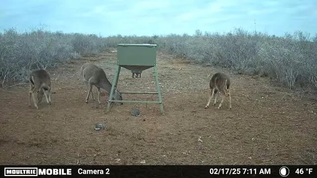 a view of a outdoor space