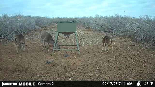 44 Ranch South Tr San Diego, TX 78384 - Photo 10 of 11