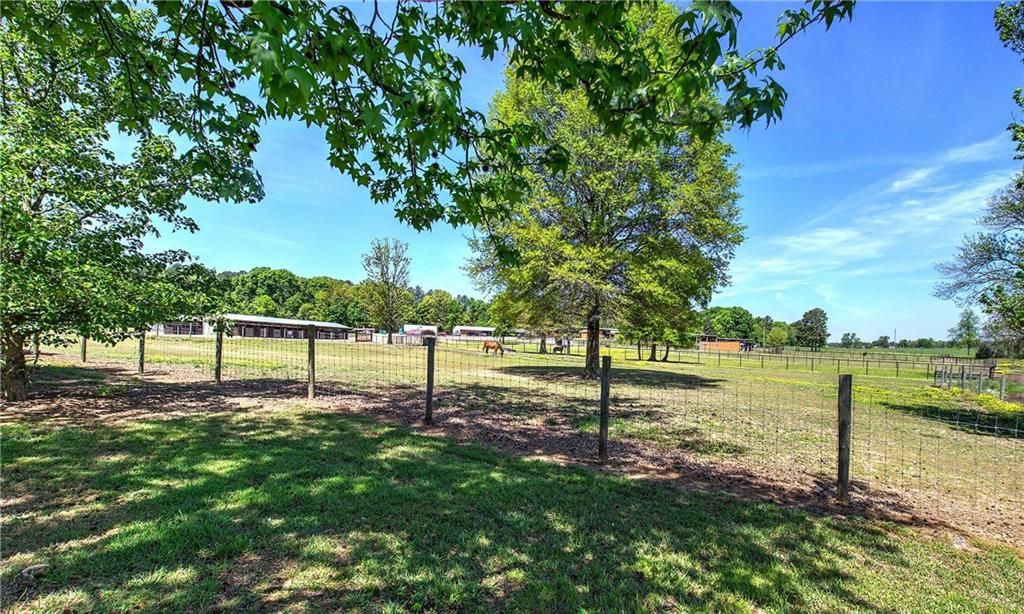 486 County Line Road Resaca, GA 30735 - Photo 19 of 49 a view of a yard with a tree