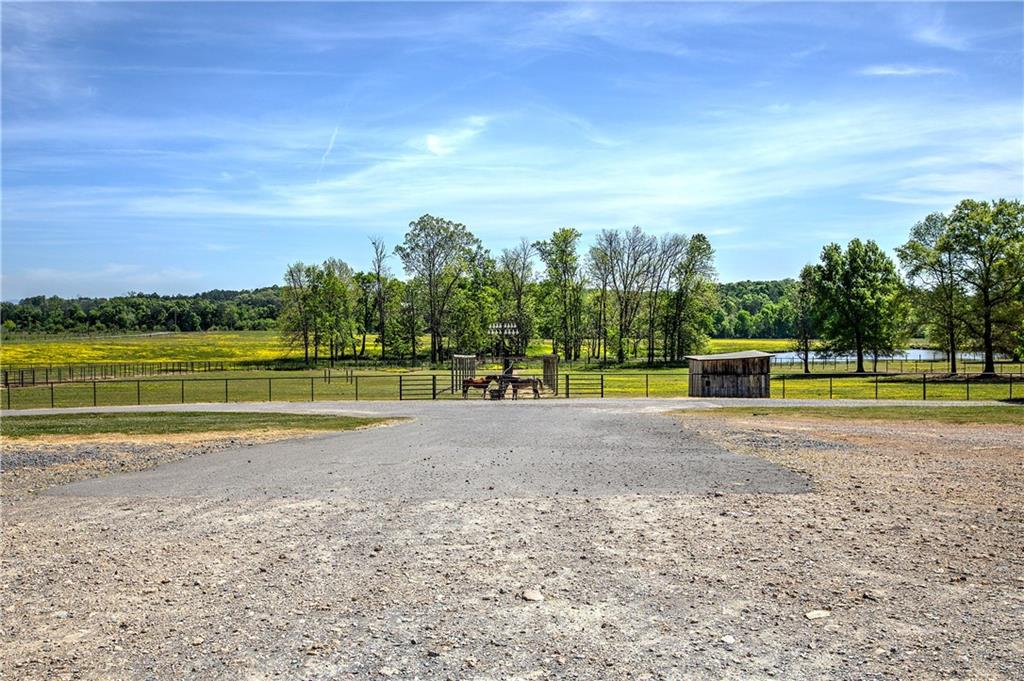 486 County Line Road Resaca, GA 30735 - Photo 24 of 49 a view of yard with swimming pool and trees in the background