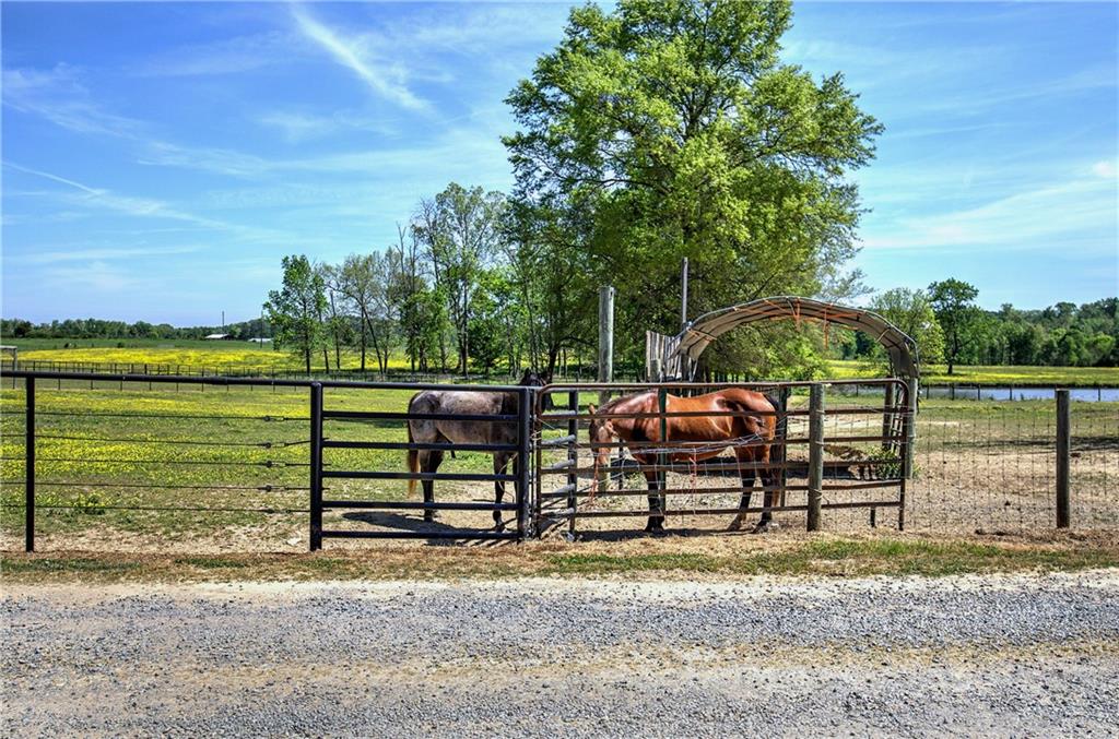 486 County Line Road Resaca, GA 30735 - Photo 40 of 49 a view of a park with iron fence