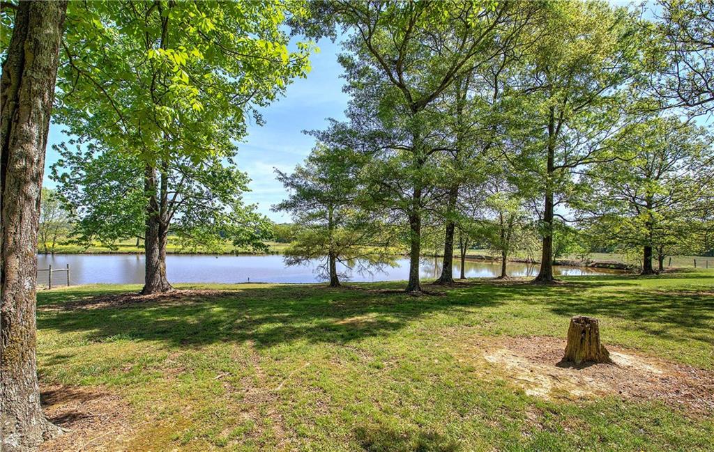 486 County Line Road Resaca, GA 30735 - Photo 5 of 49 a view of a backyard with large trees