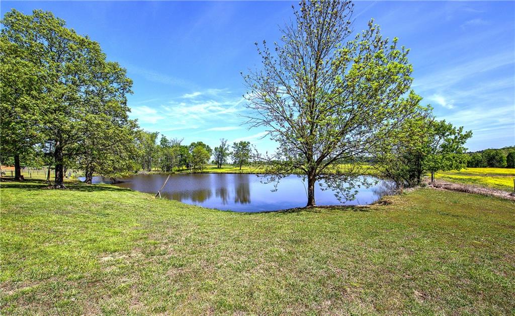 486 County Line Road Resaca, GA 30735 - Photo 8 of 49 a view of a swimming pool with a yard