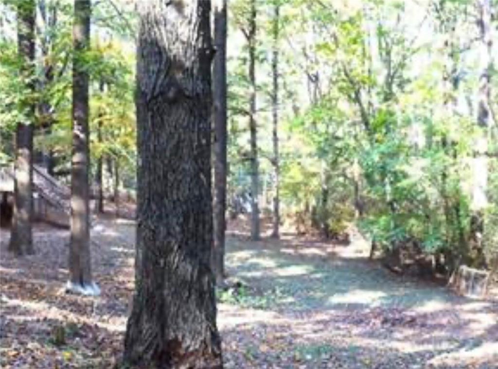 576 Nichols Road Pendergrass, GA 30567 - Photo 34 of 38 a view of backyard with green space