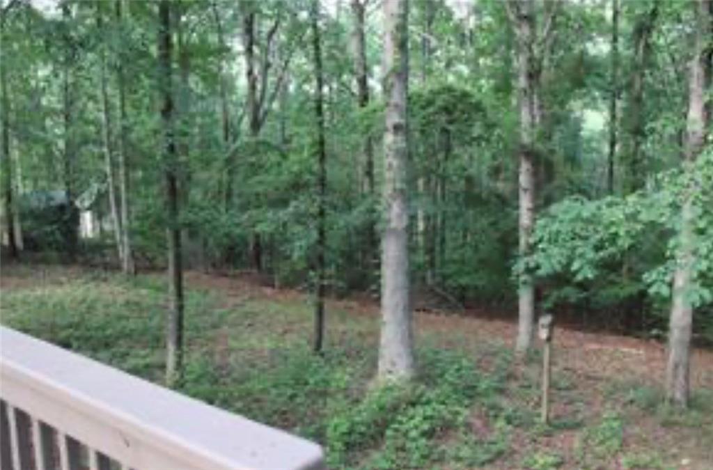 576 Nichols Road Pendergrass, GA 30567 - Photo 35 of 38 a view of a forest