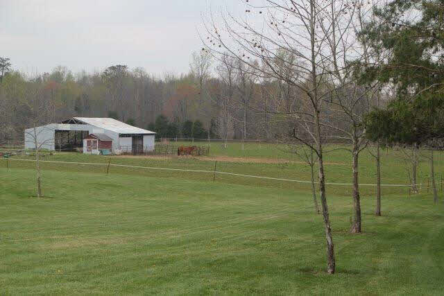 7007 South Lockenour Road Pekin, IN 47165 - Photo 23 of 33 Gallery Image 23