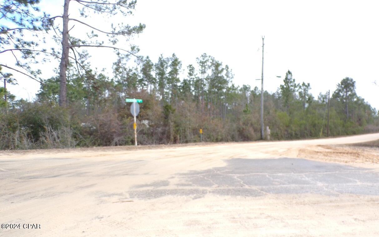 0 2n Fountain, FL 32438 - Photo 3 of 4