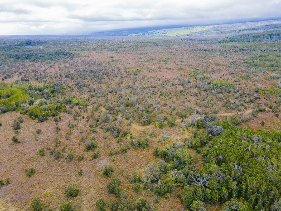 243 Pukeawe Circle Volcano, HI 96785 - Photo 15 of 16 a view of beach and space
