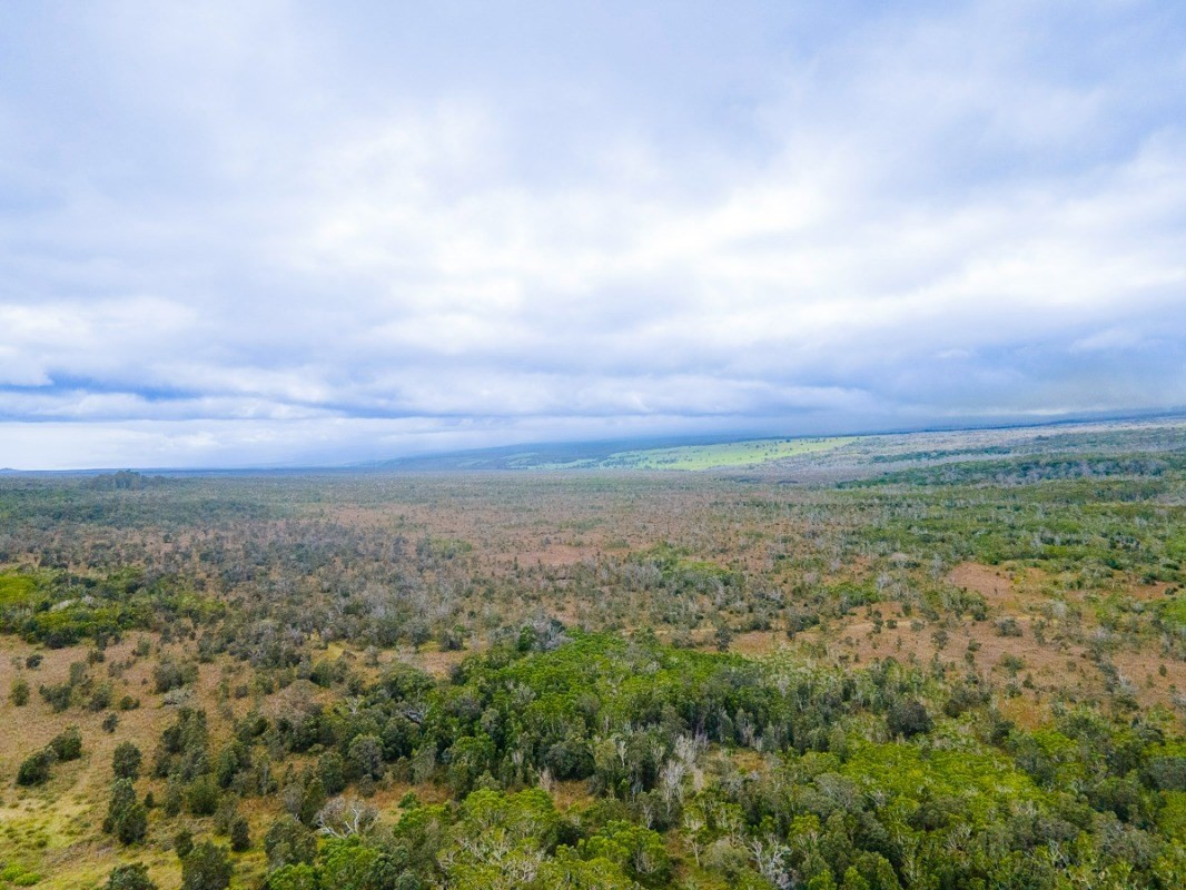 243 Pukeawe Circle Volcano, HI 96785 - Photo 16 of 16 an aerial view of residential houses with outdoor space and trees