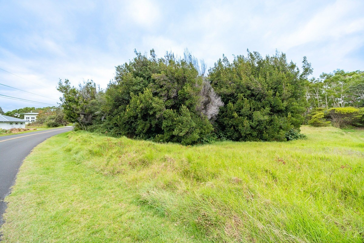 243 Pukeawe Circle Volcano, HI 96785 - Photo 3 of 16 a view of yard with green space