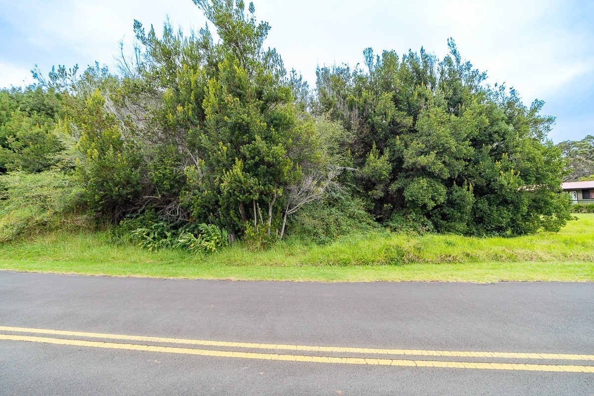 243 Pukeawe Circle Volcano, HI 96785 - Photo 4 of 16 a view of a yard and plant
