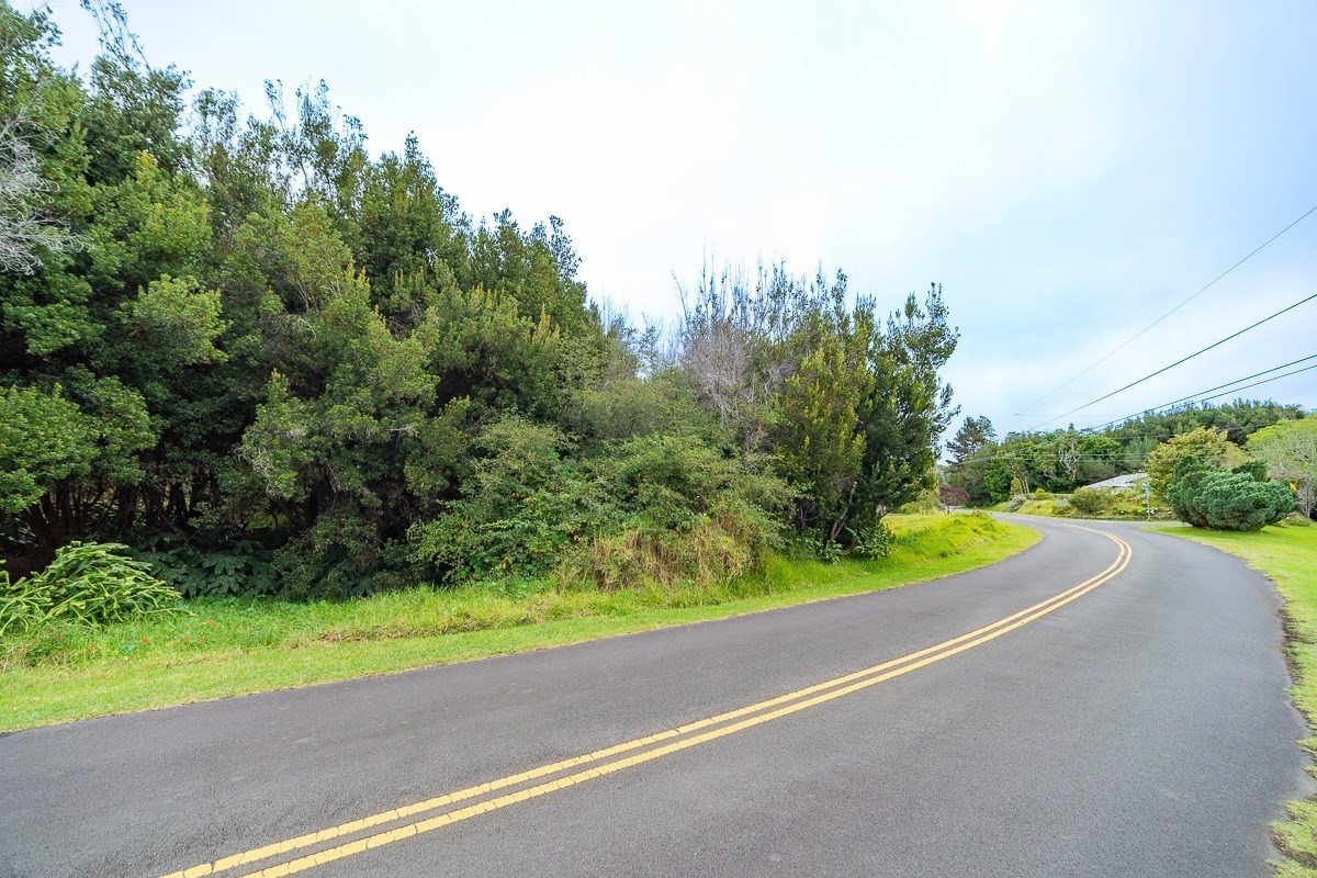 243 Pukeawe Circle Volcano, HI 96785 - Photo 6 of 16 a view of a garden with a bench and trees
