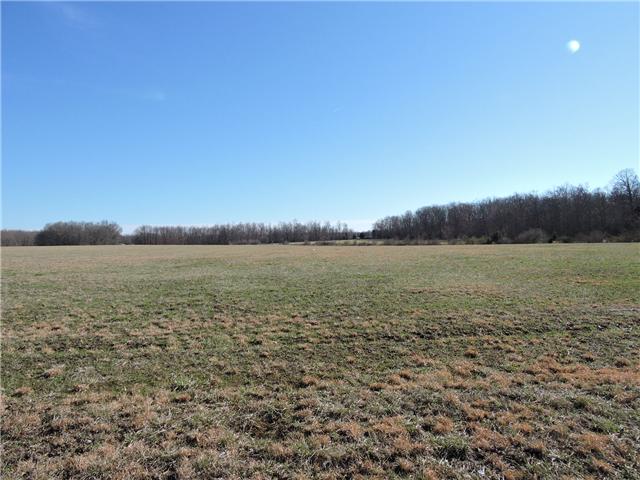 9 Boynton Valley Road Manchester, TN 37355 - Photo 1 of 4 lots