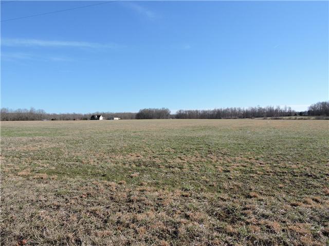 9 Boynton Valley Road Manchester, TN 37355 - Photo 2 of 4 lots