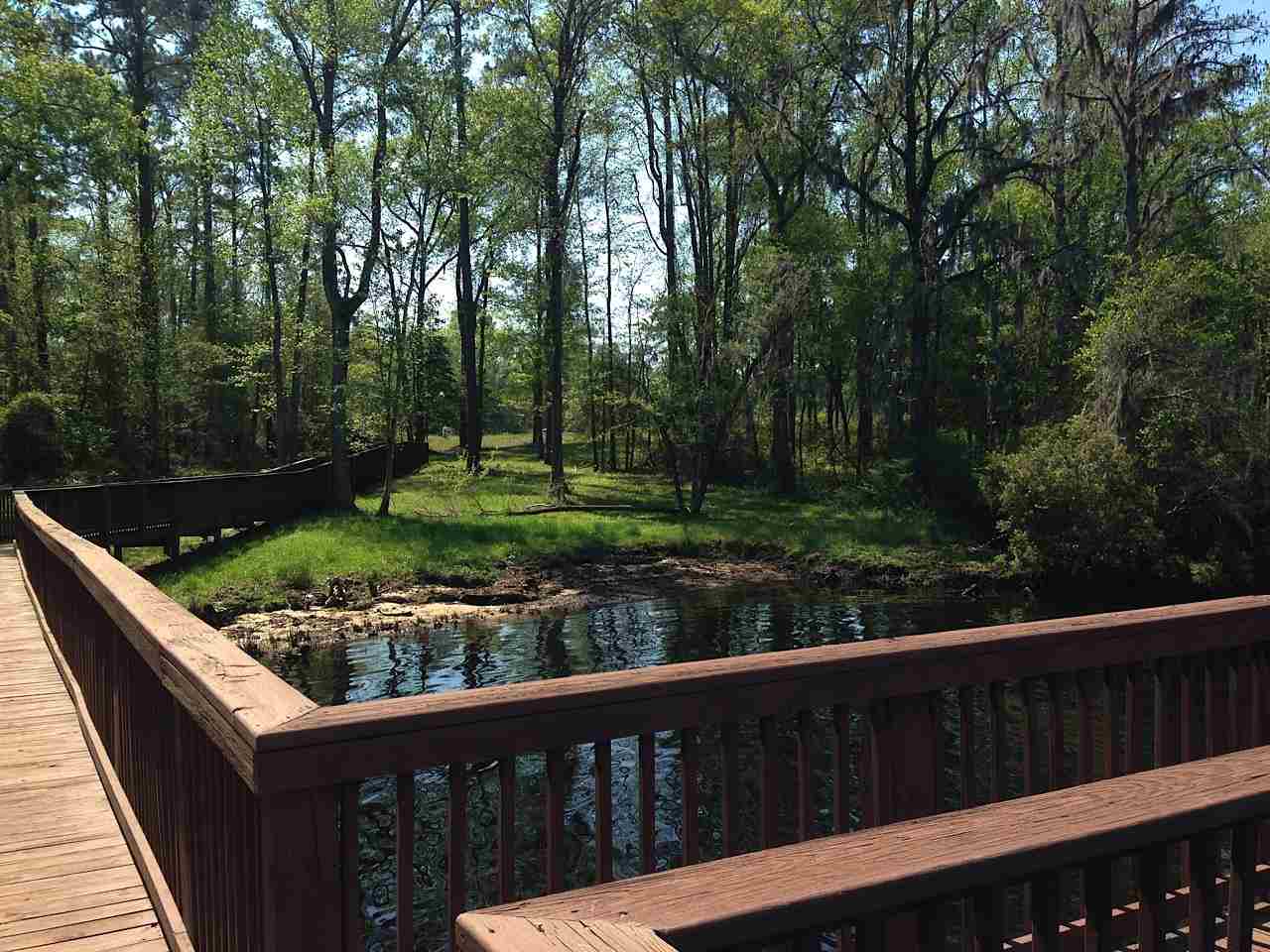 518 Chamberlin Road Myrtle Beach, SC 29588 - Photo 1 of 17 Gallery Image 1