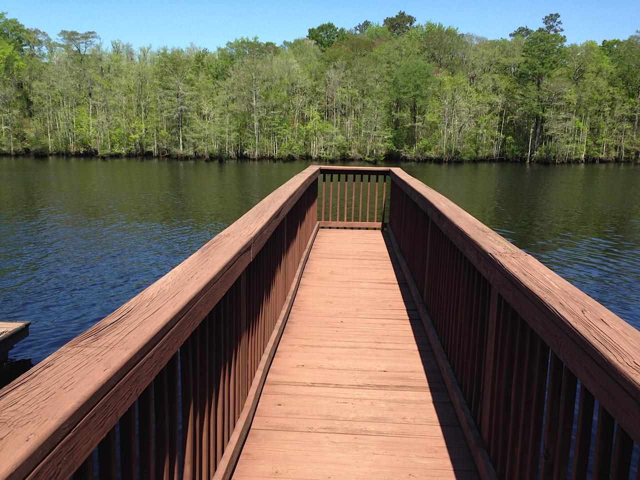 518 Chamberlin Road Myrtle Beach, SC 29588 - Photo 6 of 17 Gallery Image 6