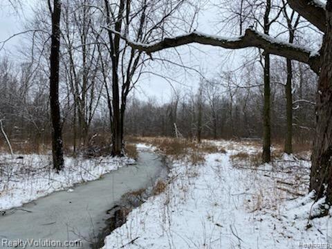 40-acres North Summers Road Imlay City, MI 48444 - Photo 7 of 8 Gallery Image 7