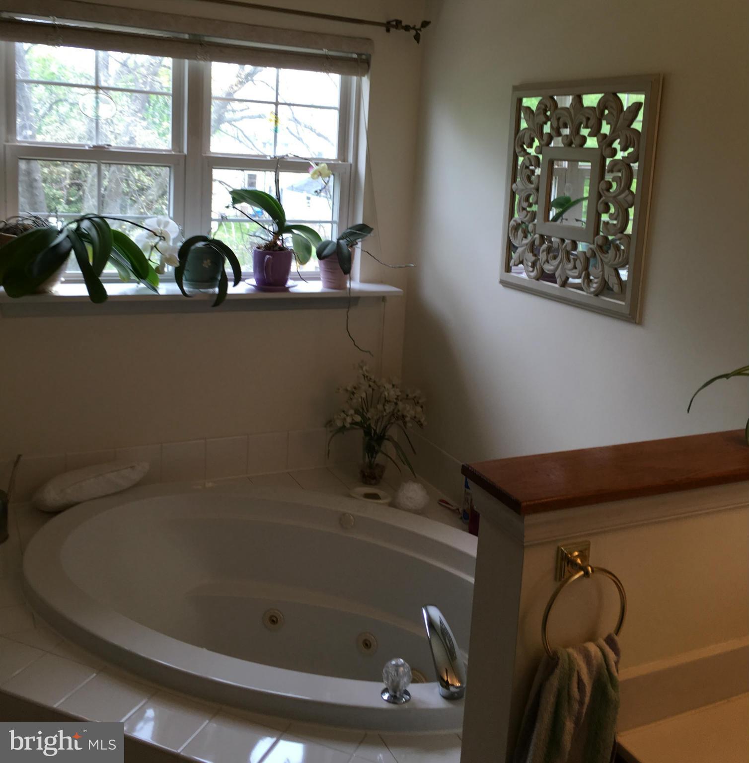 9316 Sea Point Road Baltimore, MD 21219 - Photo 18 of 30 a bath tub sitting next to a window