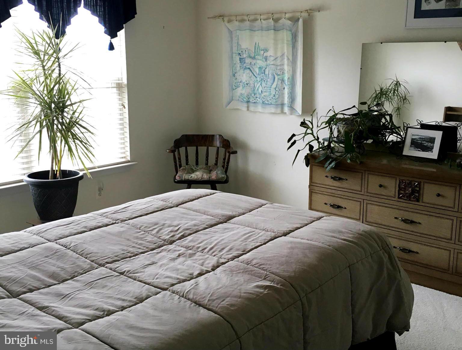 9316 Sea Point Road Baltimore, MD 21219 - Photo 24 of 30 a bedroom with a bed and a potted plant