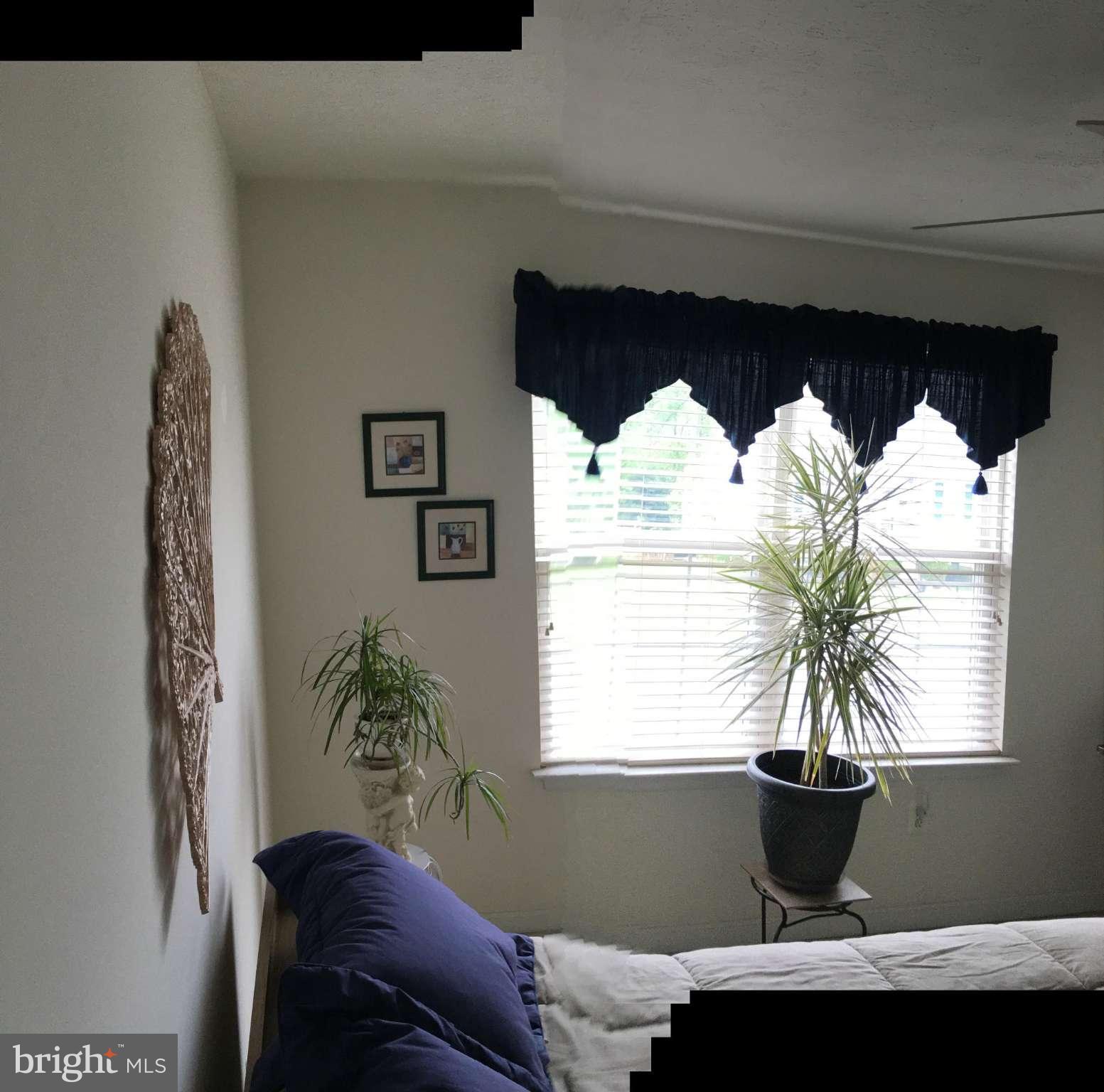 9316 Sea Point Road Baltimore, MD 21219 - Photo 25 of 30 a view of a potted plant in front of a window