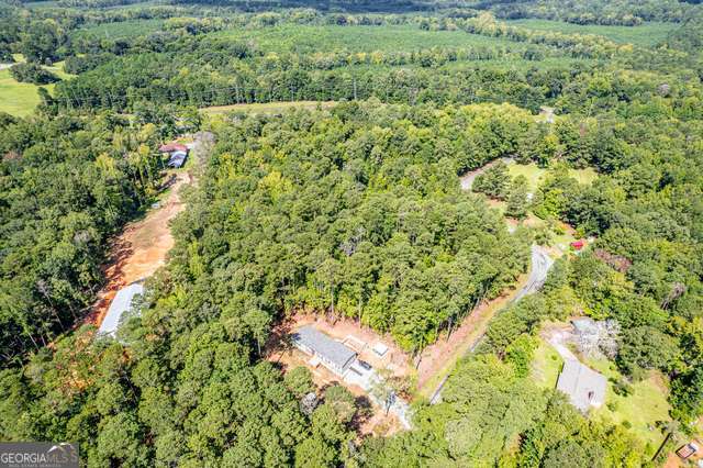 0 Braswell Lake Road Gray, GA 31032 - Photo 1 of 15