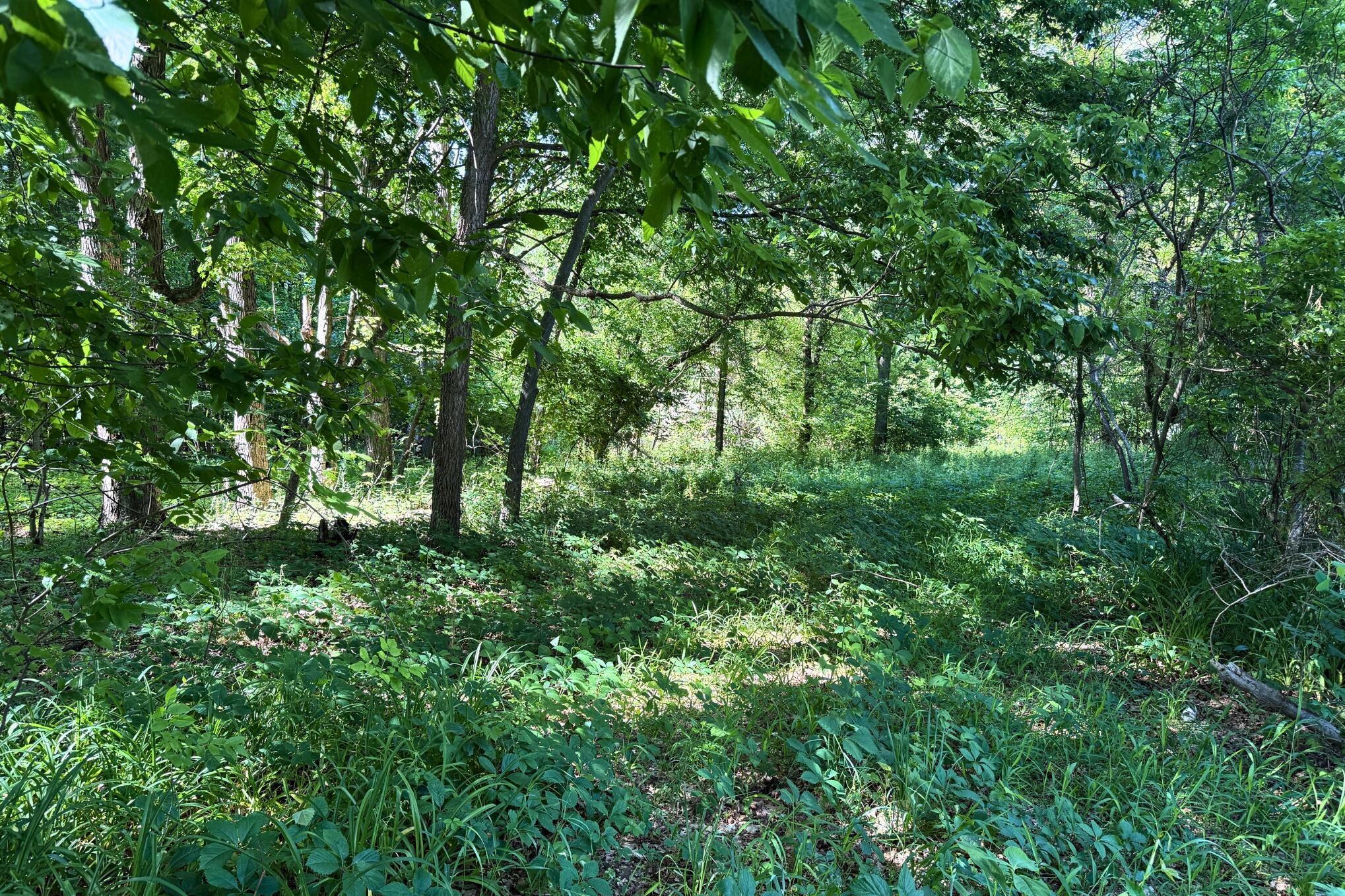 910 Marsh Road Plainwell, MI 49080 - Photo 6 of 12 6 _ 910