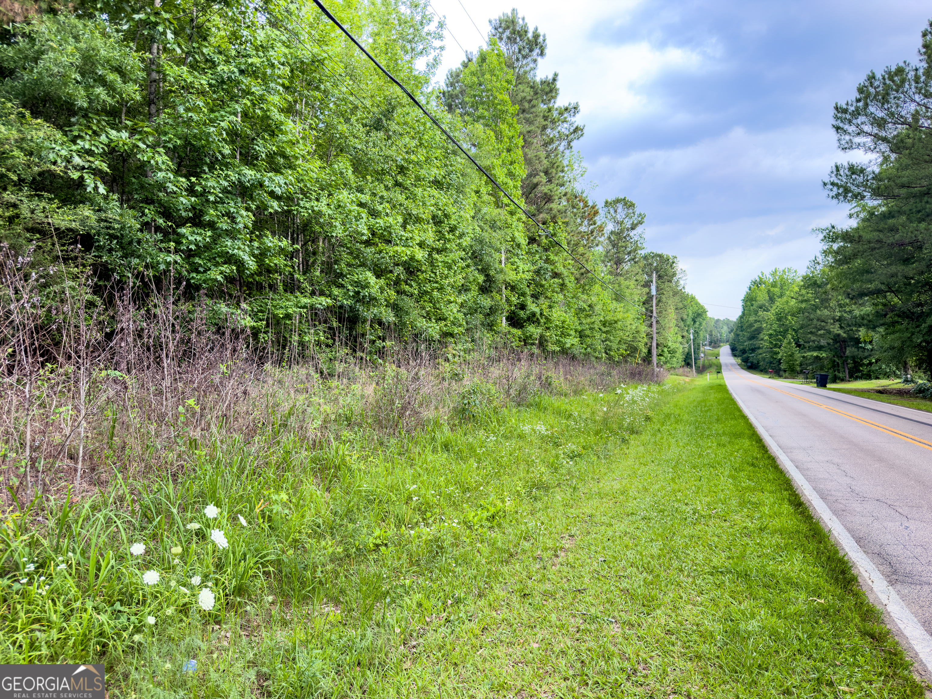 0 John Trammell Road Luthersville, GA 30251 - Photo 14 of 19
