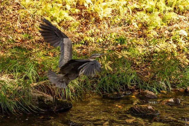 $965,000 | Lot 14 Old Mill Farm Road, Hillsborough, NH 03244