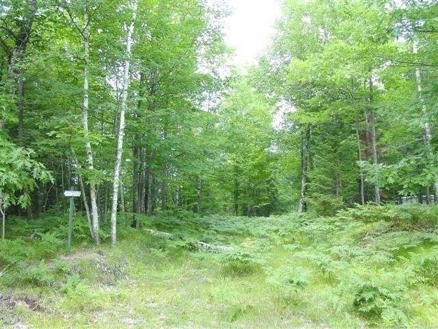 Lot 6 Bear Lake Road Hazelhurst, WI 54531 - Photo 14 of 19 Gallery Image 14