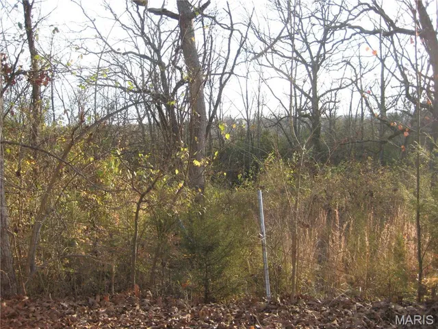 $20,000 | 0 Kennett Street, De Soto, MO 63020