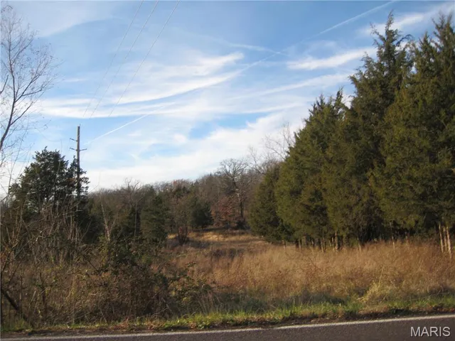 $20,000 | 0 Kennett Street, De Soto, MO 63020