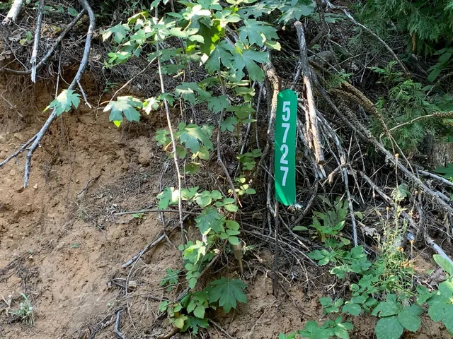 a backyard of a house