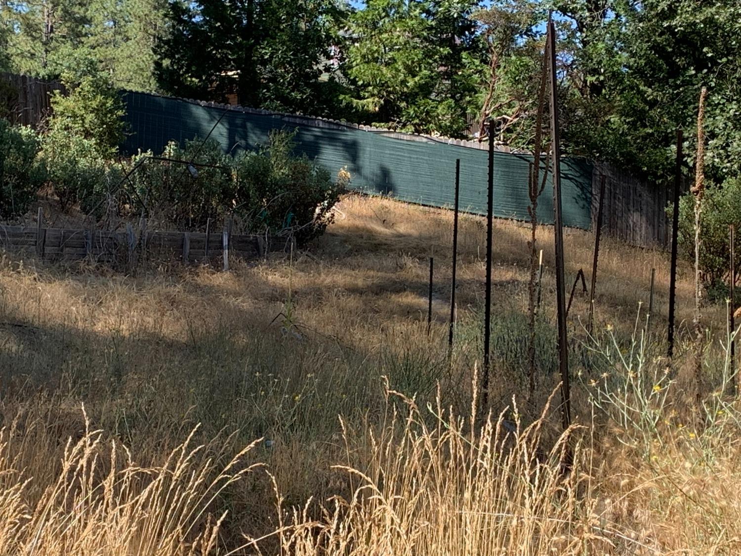 5727 Starkes Grade Road Pollock Pines, CA 95726 - Photo 11 of 31 a backyard of a house with lots of green space and plants