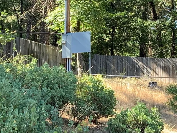 a view of a yard with a tree