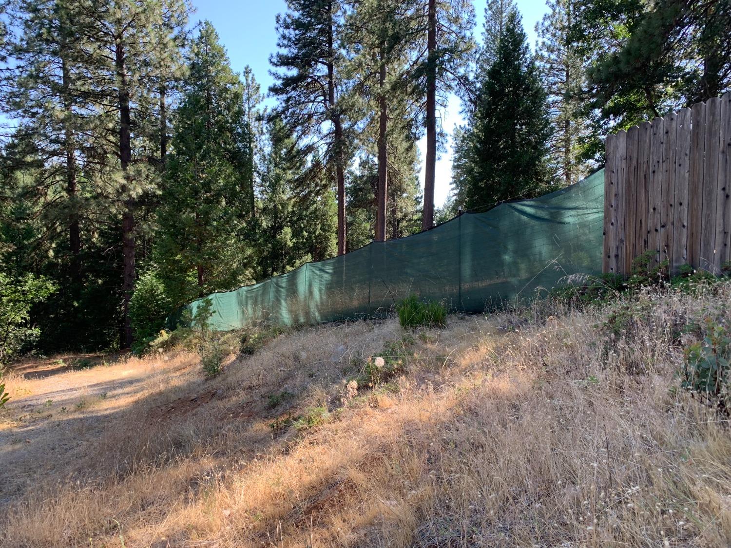 5727 Starkes Grade Road Pollock Pines, CA 95726 - Photo 13 of 31 a view of a yard with a tree