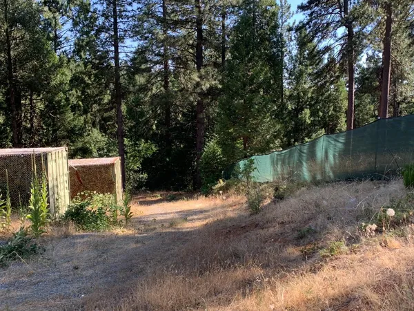 a view of dirt yard with a tree