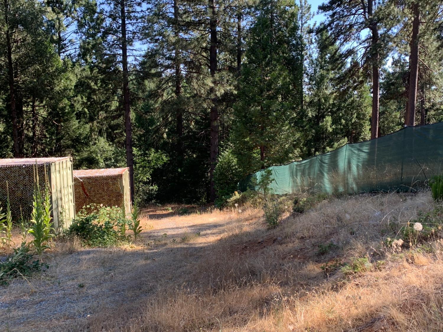 5727 Starkes Grade Road Pollock Pines, CA 95726 - Photo 14 of 31 a backyard of a house with lots of green space