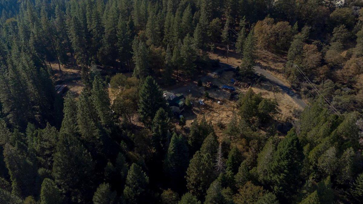 5727 Starkes Grade Road Pollock Pines, CA 95726 - Photo 17 of 31 a view of outdoor space and tree