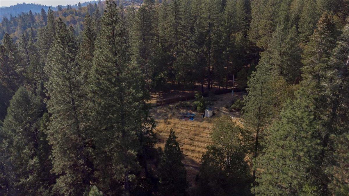 5727 Starkes Grade Road Pollock Pines, CA 95726 - Photo 19 of 31 a view of a house with a yard