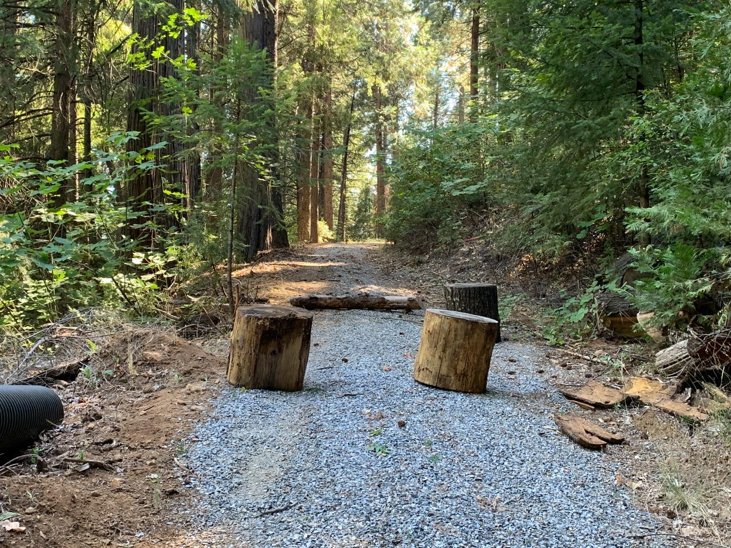 5727 Starkes Grade Road Pollock Pines, CA 95726 - Photo 2 of 31 a view of a garden with patio