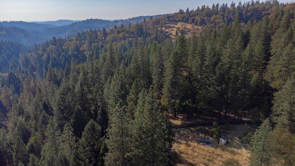 5727 Starkes Grade Road Pollock Pines, CA 95726 - Photo 21 of 31 a view of a forest