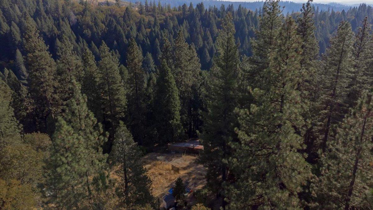 5727 Starkes Grade Road Pollock Pines, CA 95726 - Photo 22 of 31 a view of a yard