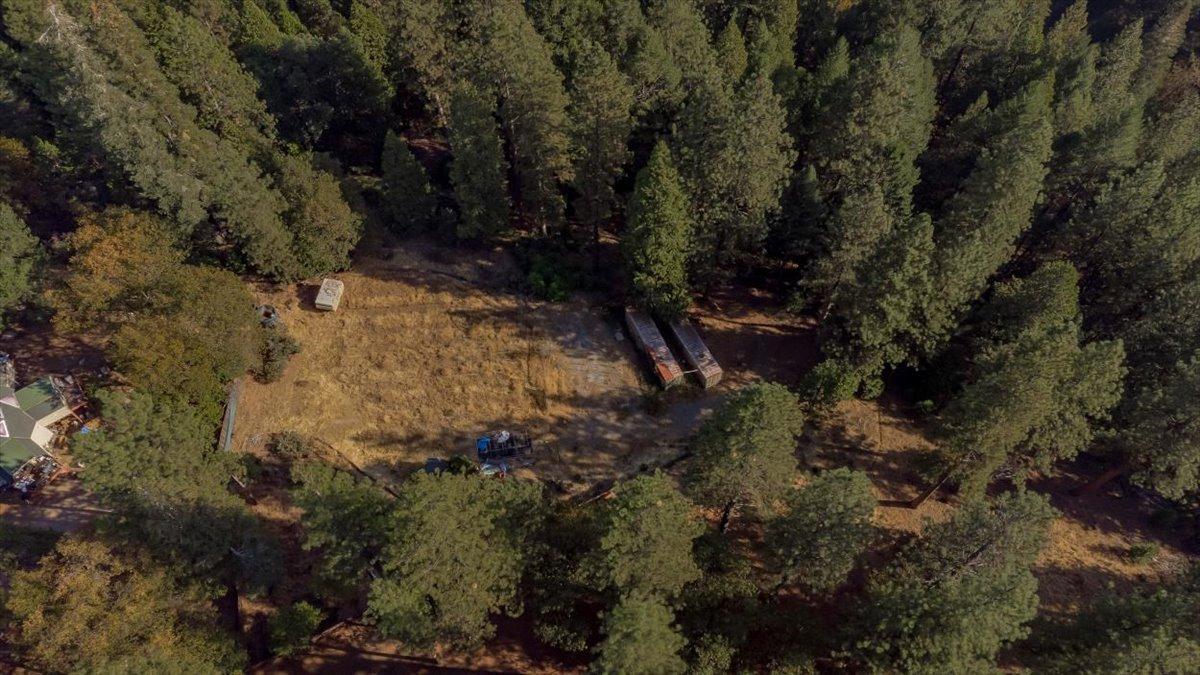 5727 Starkes Grade Road Pollock Pines, CA 95726 - Photo 24 of 31 a view of a yard with plants and large trees
